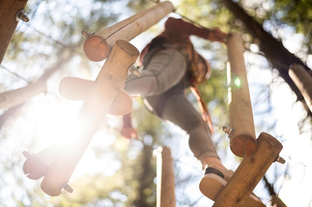 Climbing adventure park in the Carpathians in Romania