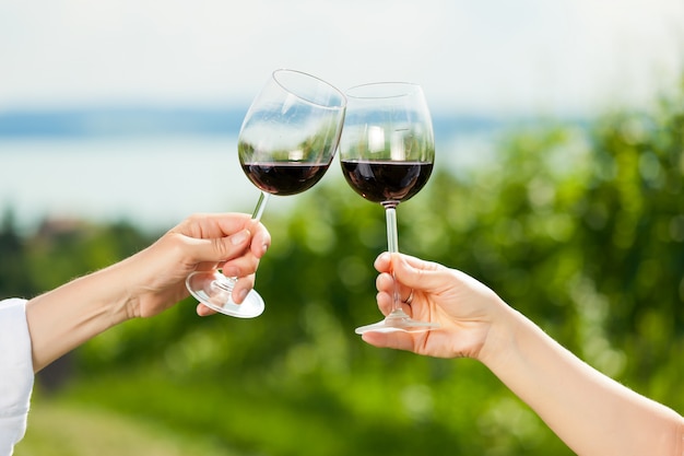 Clinking wine glasses at lake in the summer