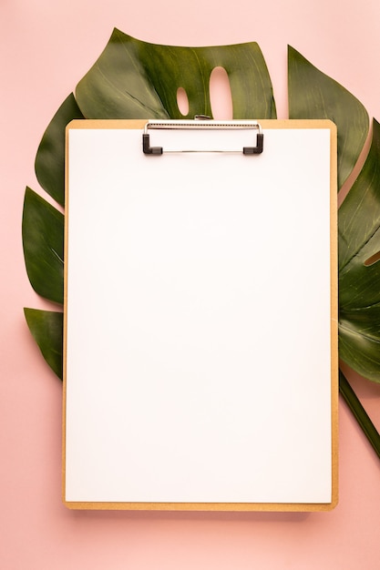 Clipboard and monstera leaf on pink surface