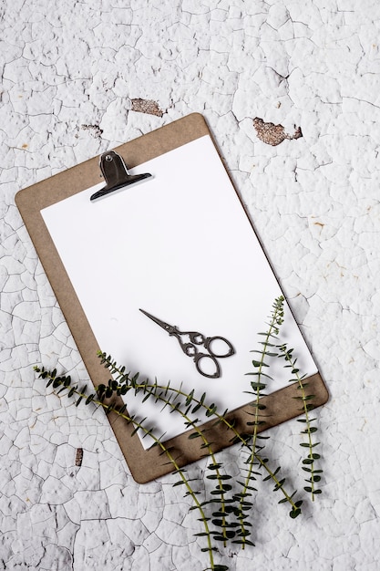 Clipboard with plant leaf 