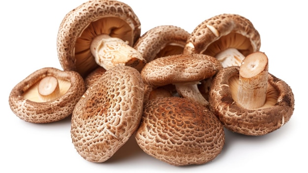 clipping path Shiitake mushrooms isolated on white background