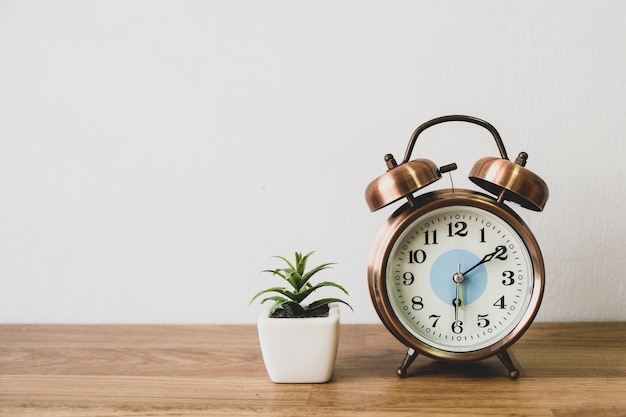 The clock is placed on the table with a tree pot placed 