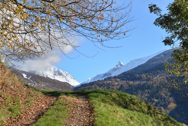 Рядом с пешеходной дорожкой, пересекающей альпийскую долину со снежной вершиной горы под голубым небом