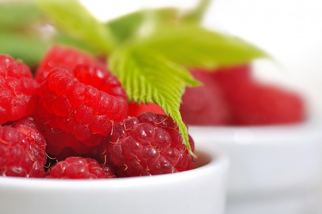 Close on raspberries 