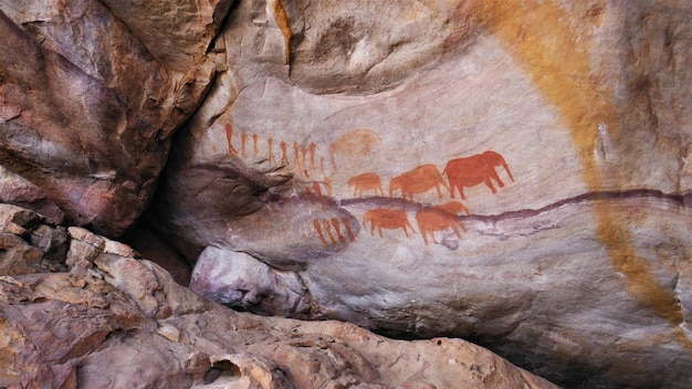 Close shot van bushman schilderij op een rots in Cederberg berg