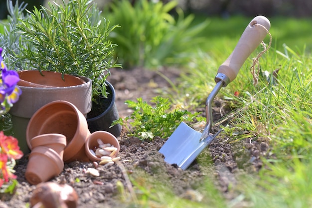 シャワーを植えて庭の土に植える