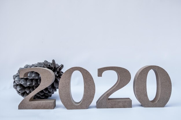 Close-up of 2020 text with pine cone on white background