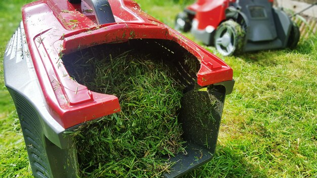 Close-up of abandoned car on grass