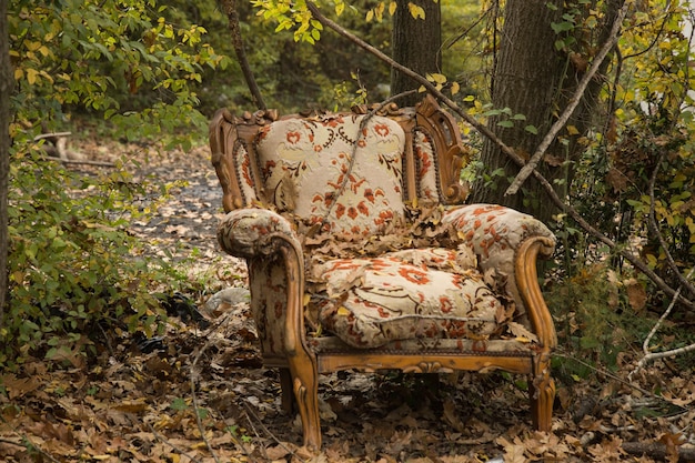 Photo close-up of abandoned chair in forest