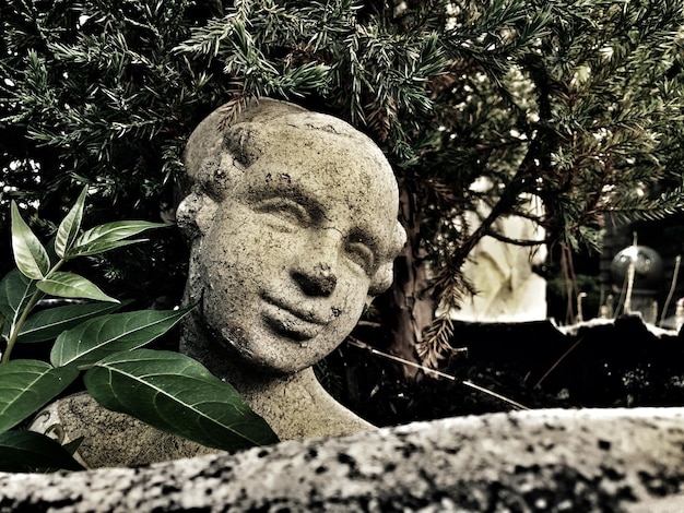 Photo close-up of abandoned sculpture at park