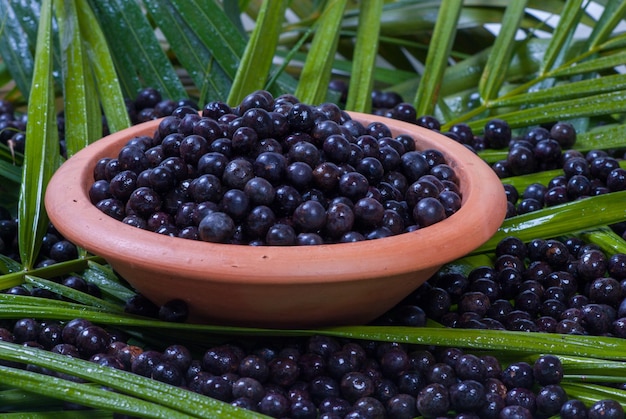 Photo close-up of acai fruits in container