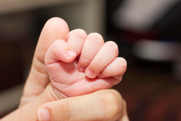 close-up of adult hand holding babys hand