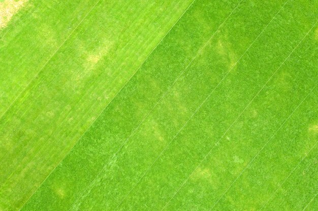 Primo piano vista aerea della superficie dell'erba verde appena tagliata sullo stadio di calcio in estate.