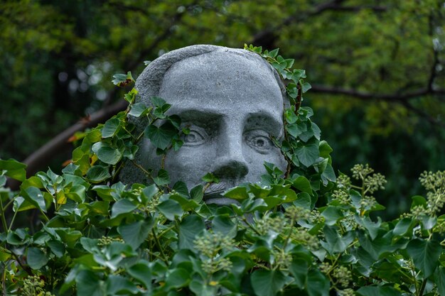 Foto close-up della statua dell'angelo nel cimitero