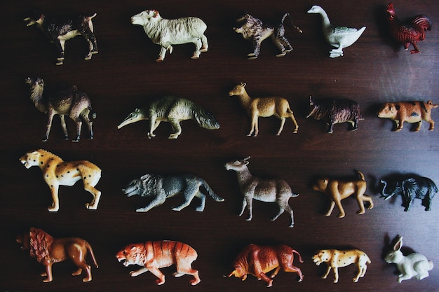 Photo close-up of animal representations