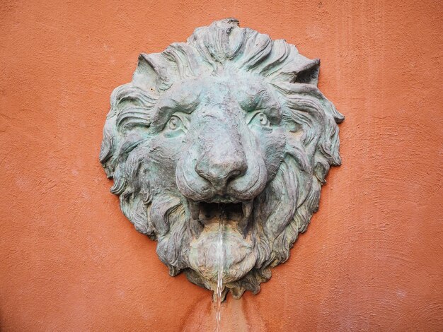 Foto close-up della statua di un animale