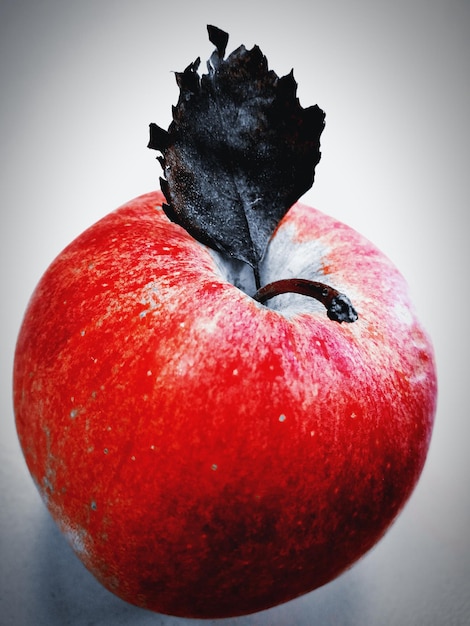 Photo close-up of apple against white background