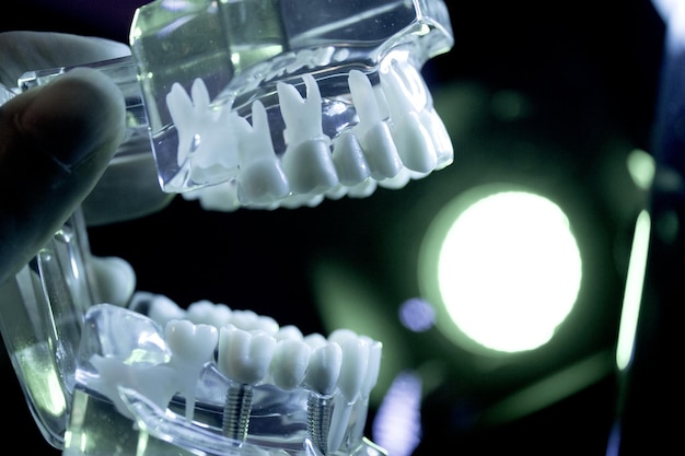 Close-up of artificial teeth