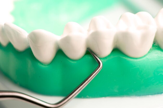 Close-up of artificial teeth