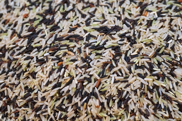 Close up of asia raw rice grain and dry rice