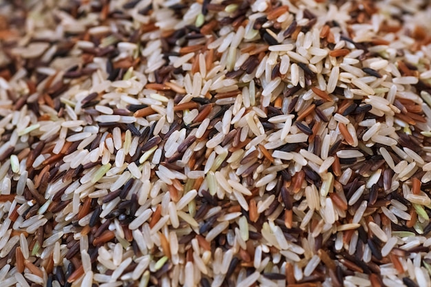 Close up of asia raw rice grain and dry rice