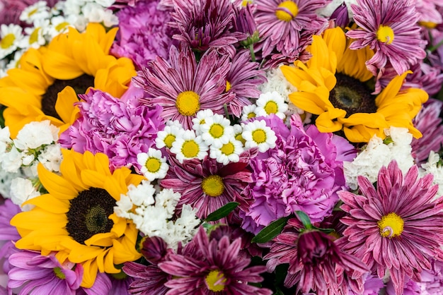 Close-up assortment of colorful flowers