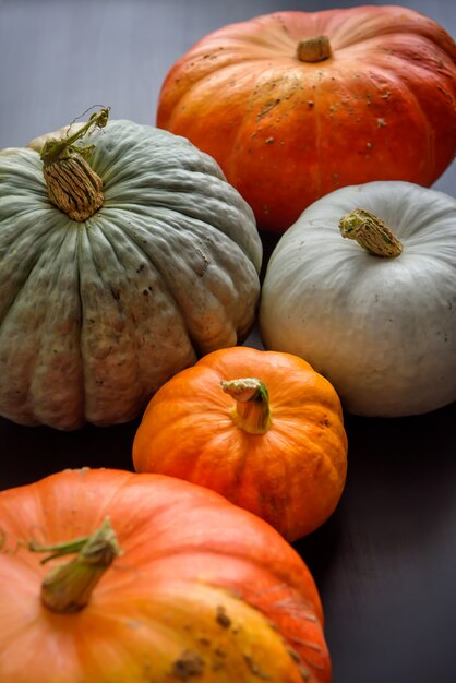 close-up of an assortment of pumpkins