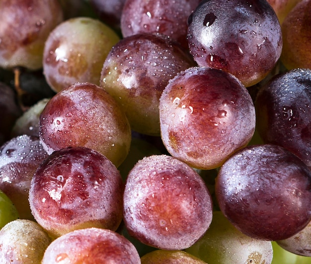 Photo close-up of autumn grapes with water