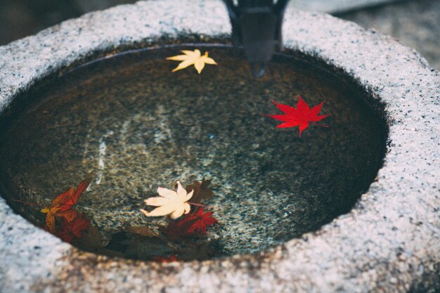 Foto close-up di foglie d'autunno che galleggiano sull'acqua in un contenitore di pietra