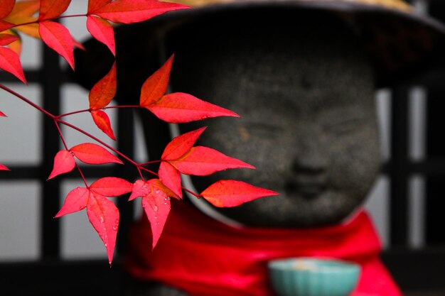 Photo close-up of autumn leaves with statue of monk