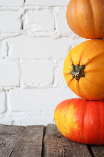 Close-up autumn pumpkins on thanksgiving table