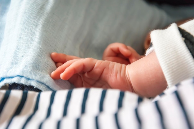 Close-up of baby boy hands