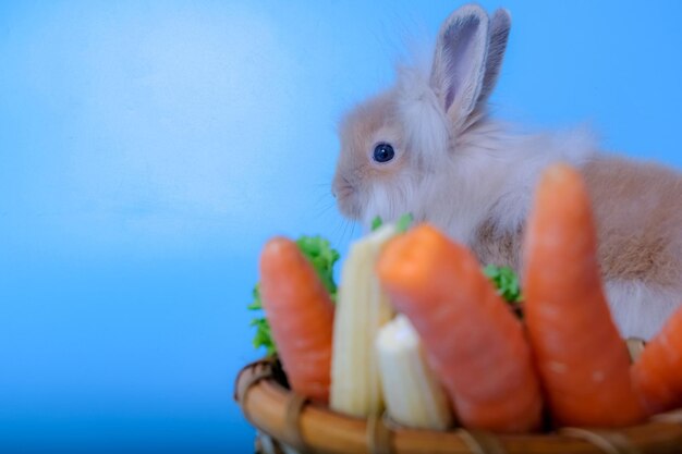 Foto close-up di un bambino che mangia cibo