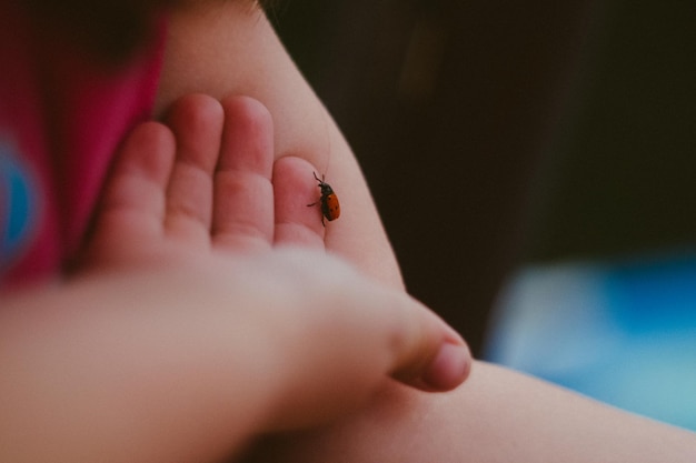 Close-up of baby hand