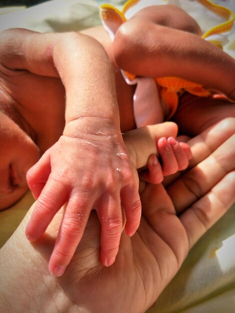 Close-up of baby hands