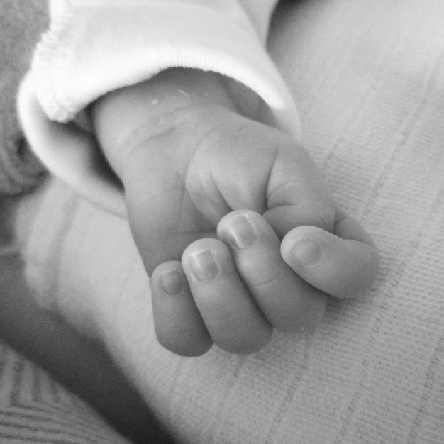 Photo close-up of baby hands