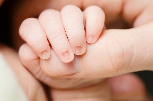 Close-up of baby holding hand of mother