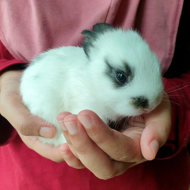 Close-up of baby holding hands