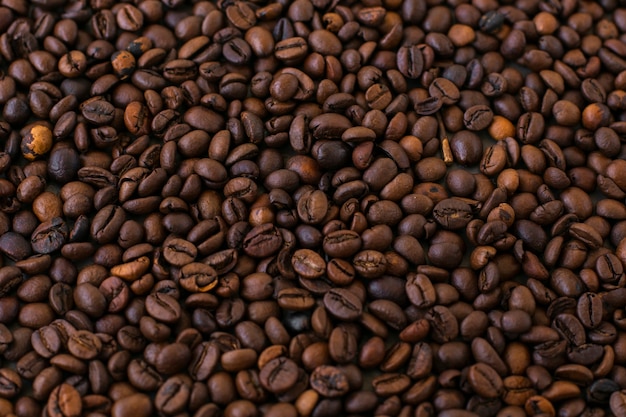 Photo close-up background of coffee beans