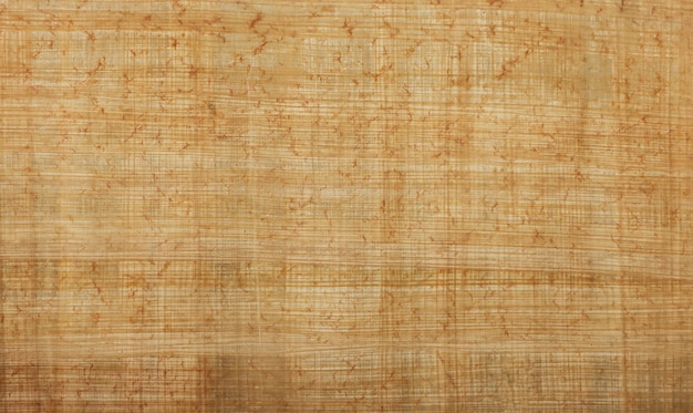 Крупным планом фоновой текстуры древнего египетского папируса или бумажного тростникового документа byblos