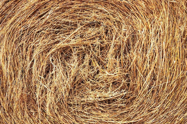 Close up of bales of hay spiral