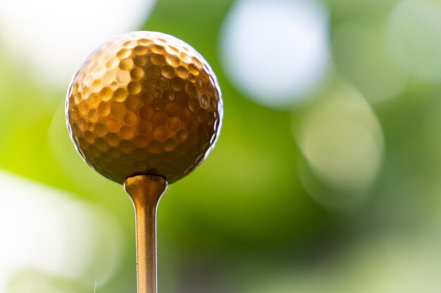 Close-up of ball on plant