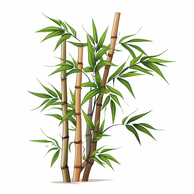 a close up of a bamboo plant with green leaves on a white background generative ai