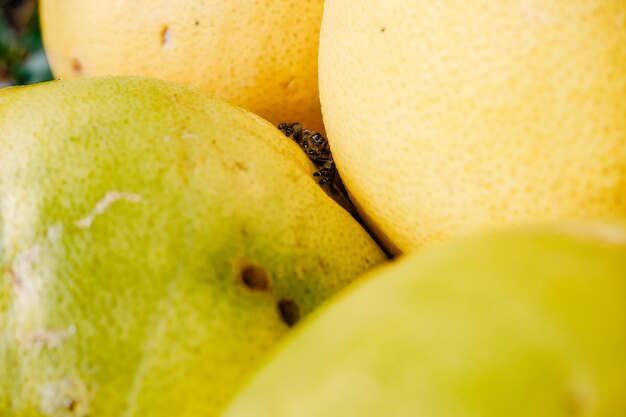 Photo close-up of banana and orange yellow