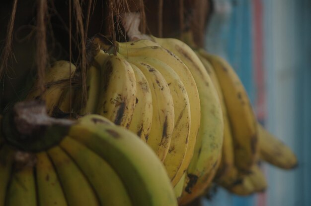 Photo close-up of bananas against blurred background