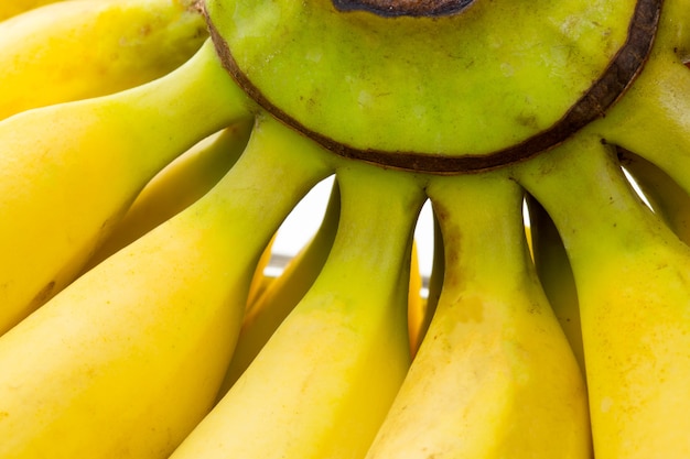 Close up on bananas with stem visible