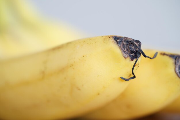 Close-up of bananas