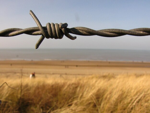 Photo close-up of barb wire