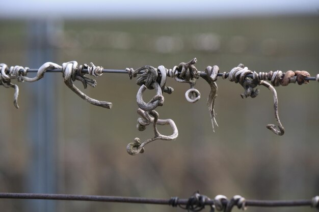 Close-up of barbed wire against fields