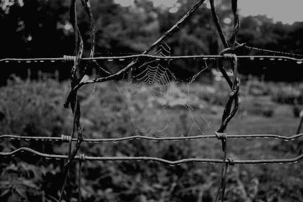 Photo close-up of barbed wire against sky